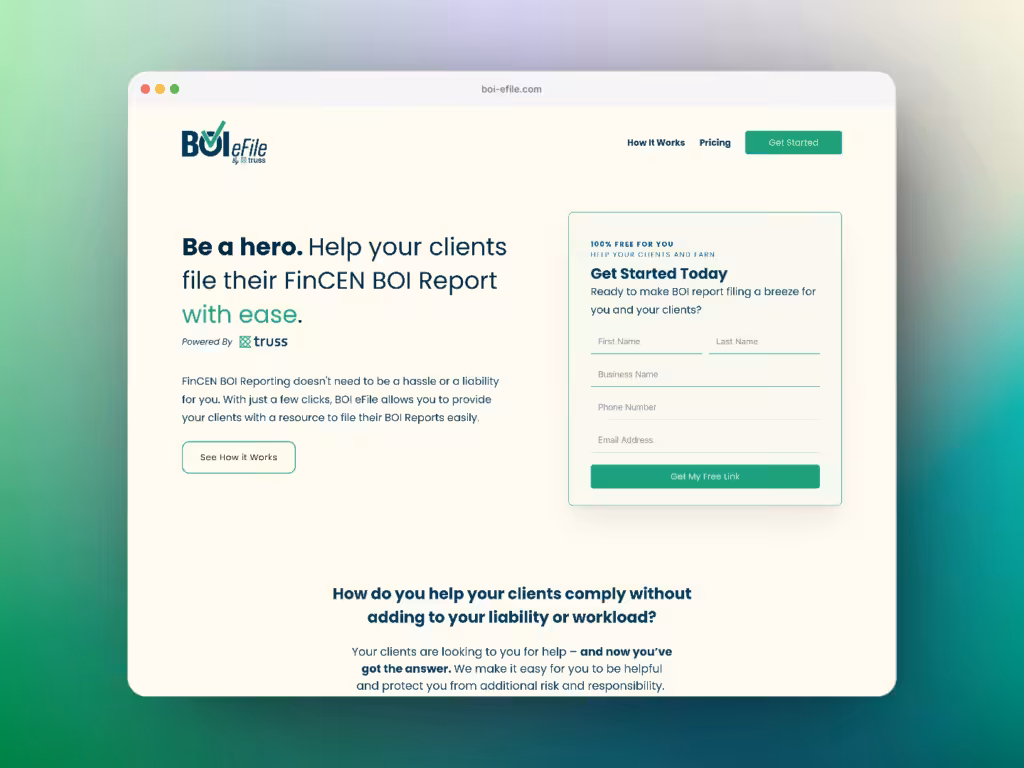 Boi Efile website, designed and built by Surefaze